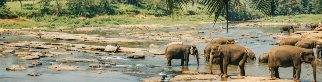 Discover Sri Lanka – Our Destination Of The Week