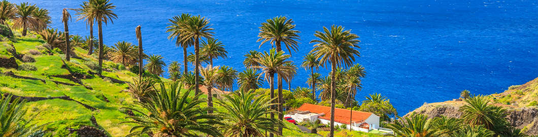 Guided Day Tours In Tenerife