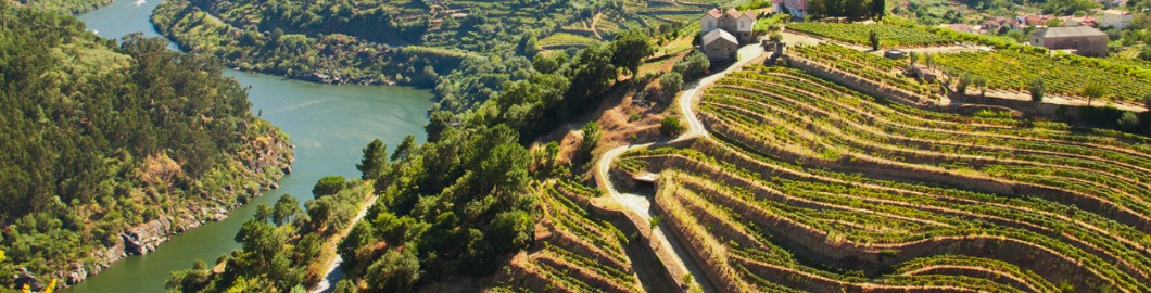 The Best Destinations In Europe For Wine Lovers