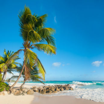 4 Reasons Barbados Should Be Next On Your Holiday Wish List