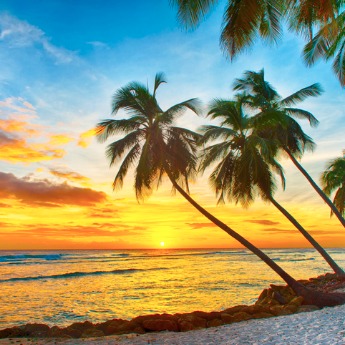 All You Need To Know About Working Remotely In Barbados